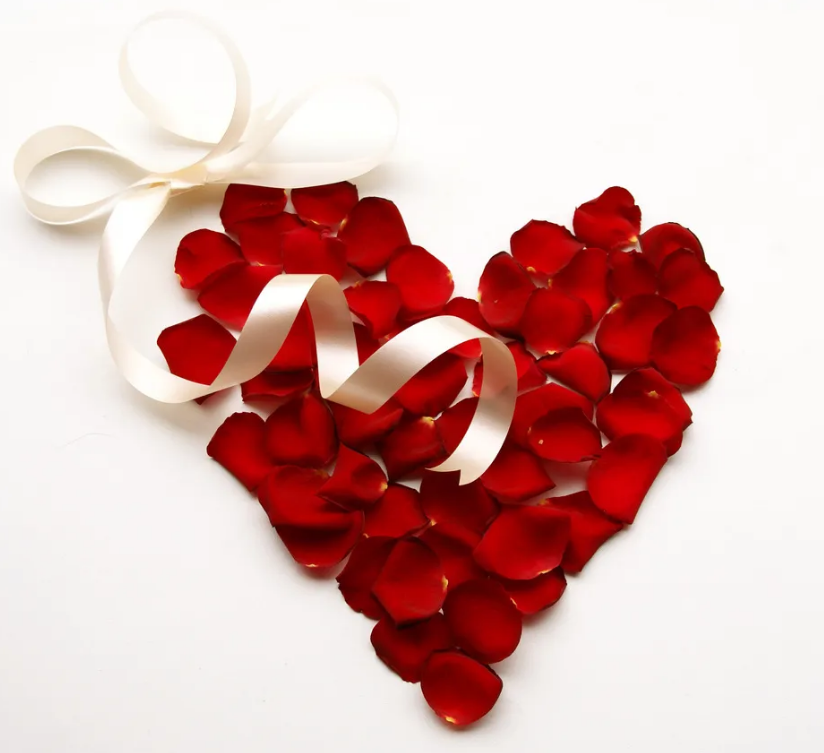 520，向生活表白......